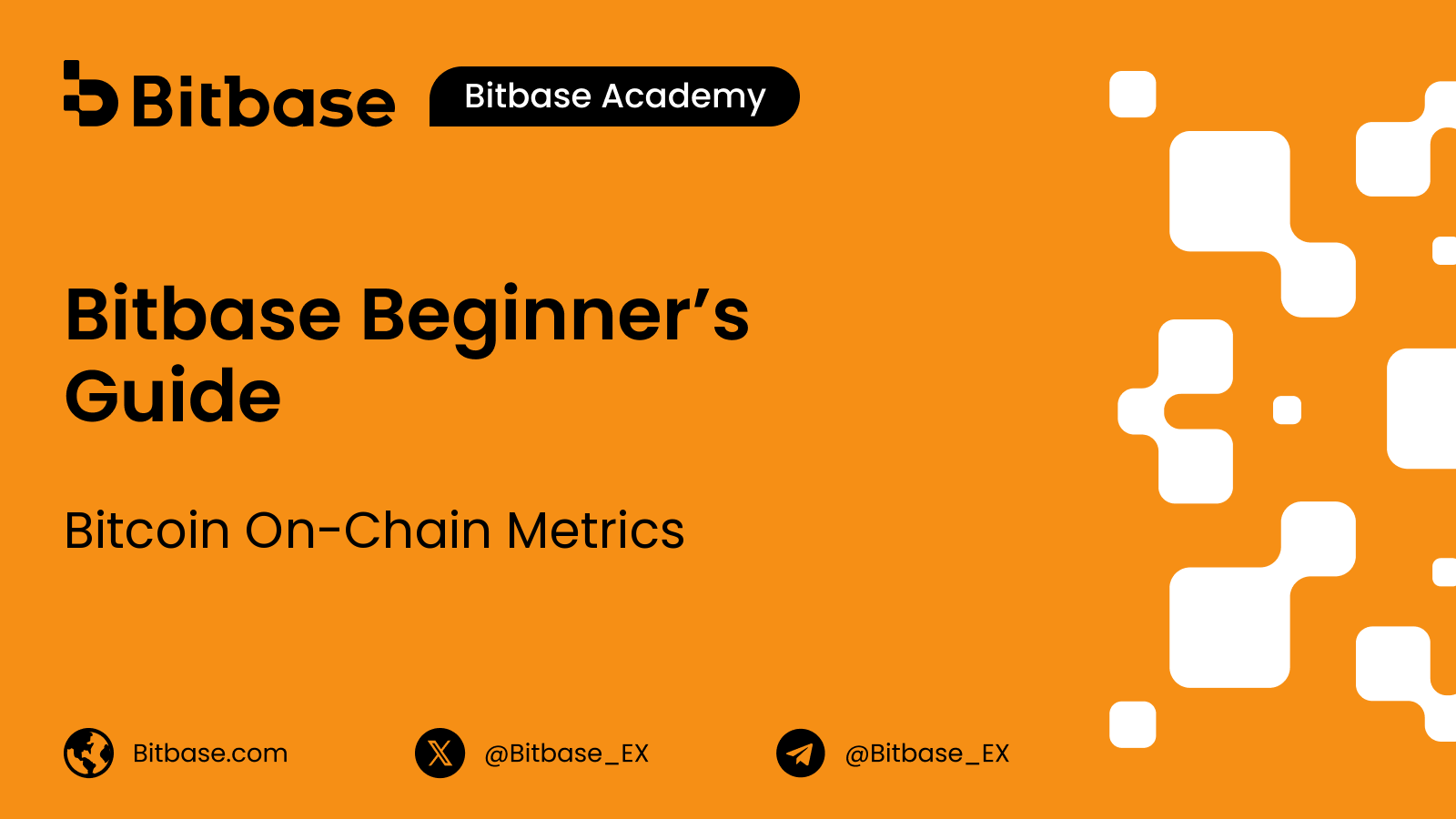 Bitcoin On-Chain Metrics