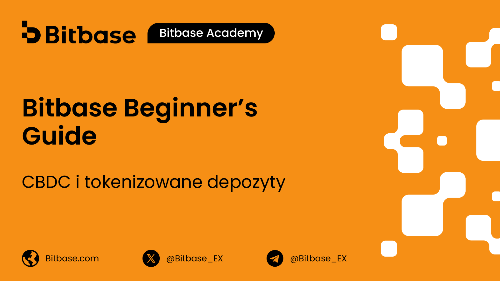 CBDC i tokenizowane depozyty