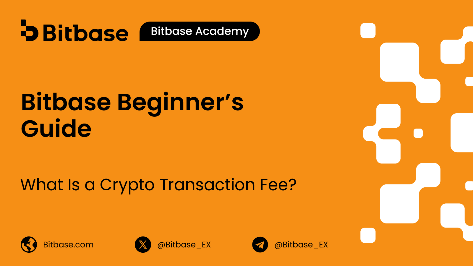 What Is a Crypto Transaction Fee?