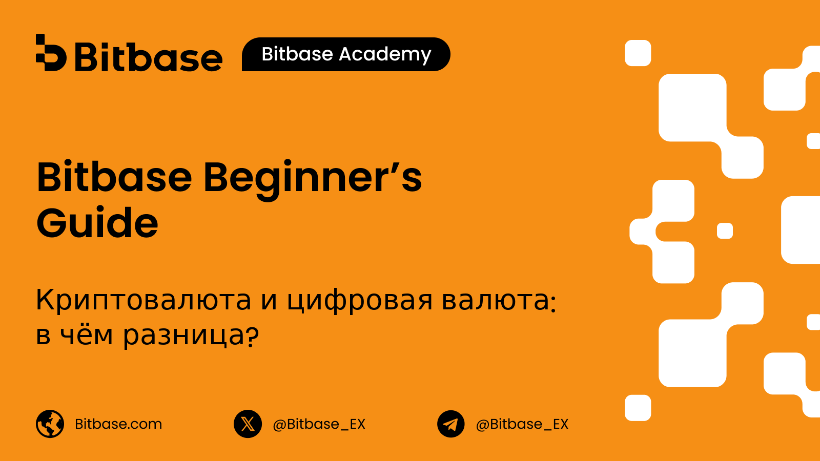 Криптовалюта и цифровая валюта: в чём разница?