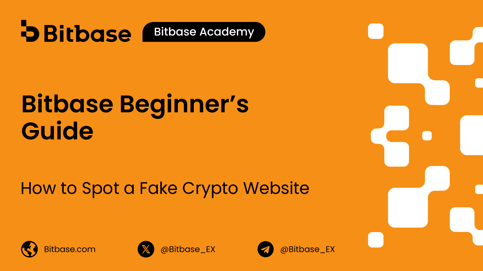 How to Spot a Fake Crypto Website