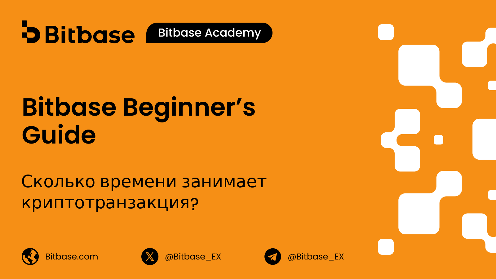Сколько времени занимает криптотранзакция?
