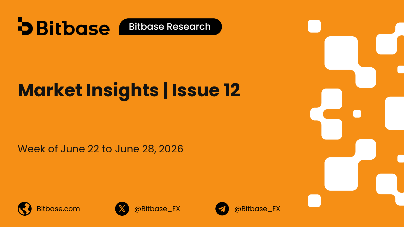 Market Insights | Issue 12