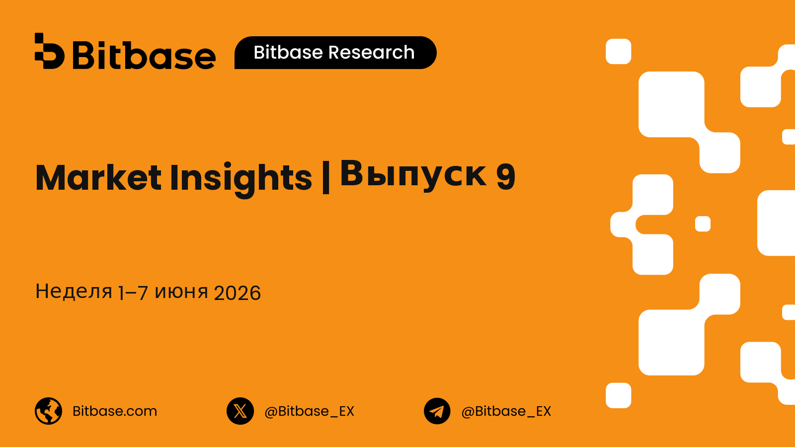 Market Insights | Выпуск 9