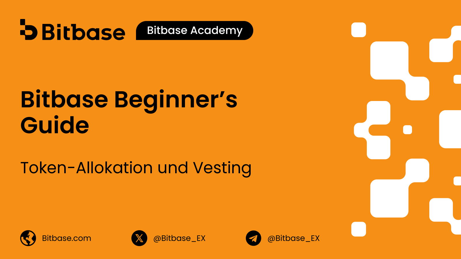 Token-Allokation und Vesting