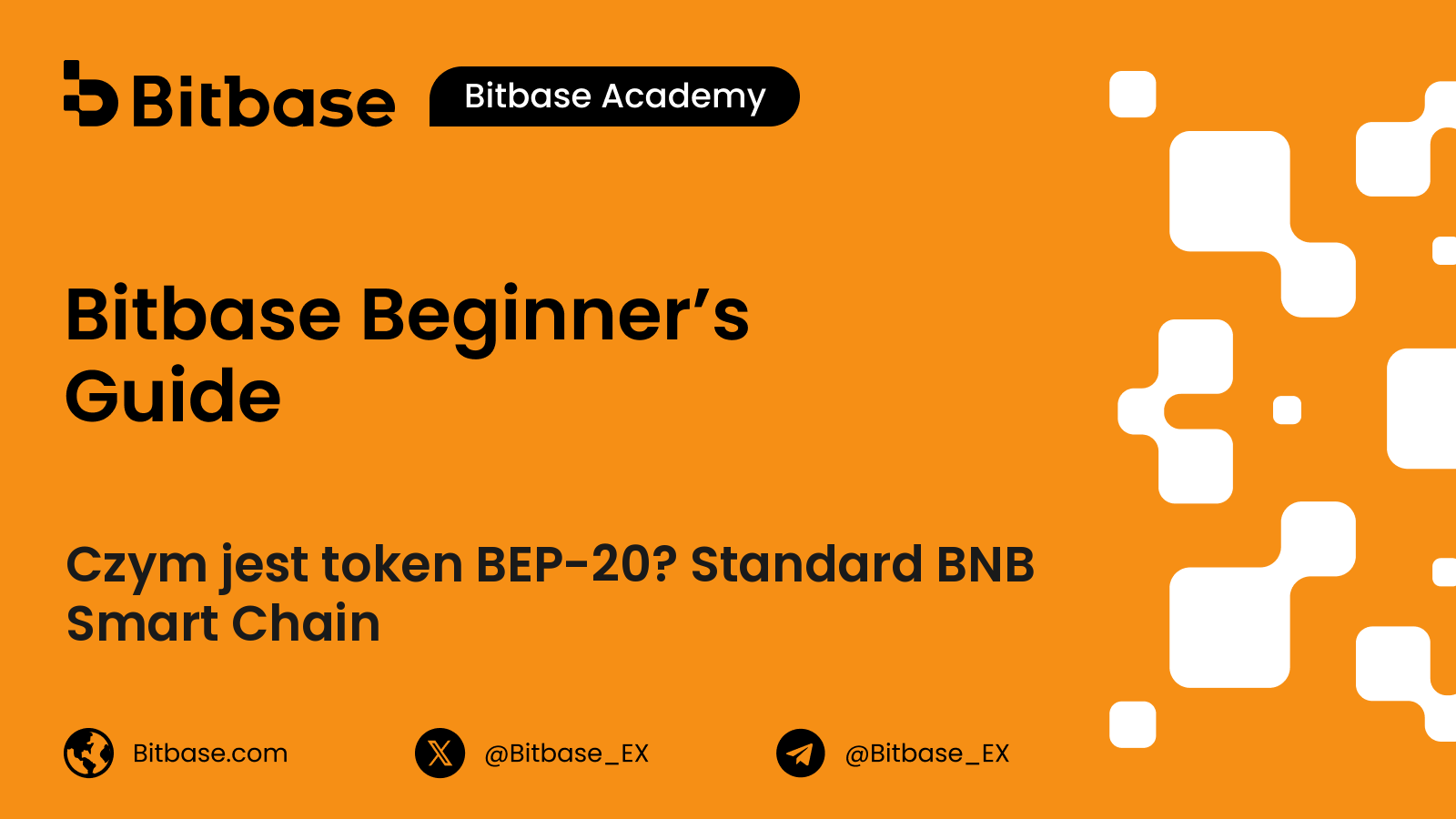 Czym jest token BEP-20? Standard BNB Smart Chain