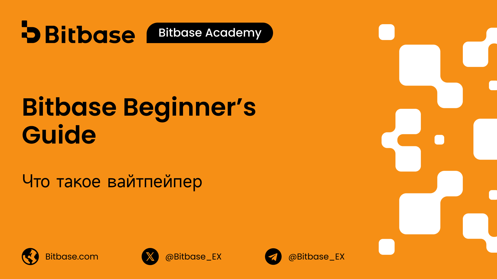 Что такое крипто-вайтпейпер (Whitepaper)