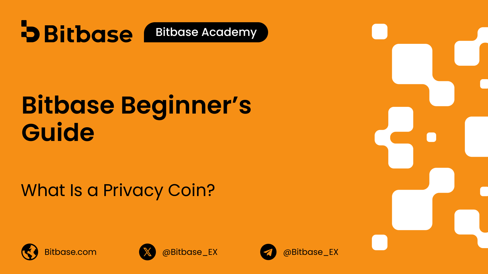 What Is a Privacy Coin?
