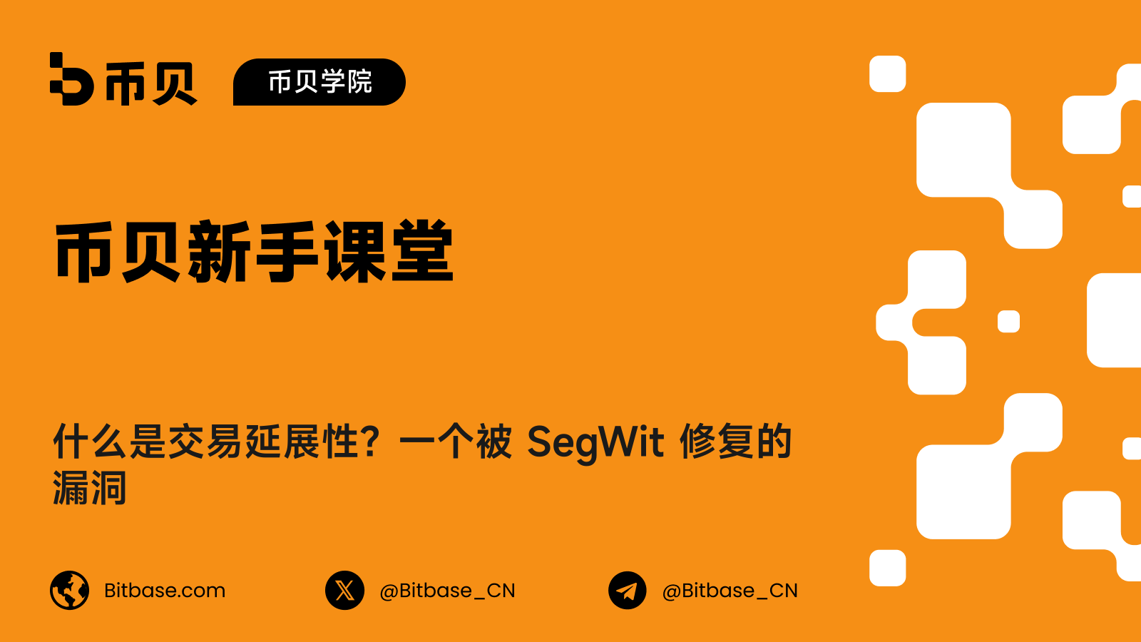 什么是交易延展性？一个被 SegWit 修复的漏洞